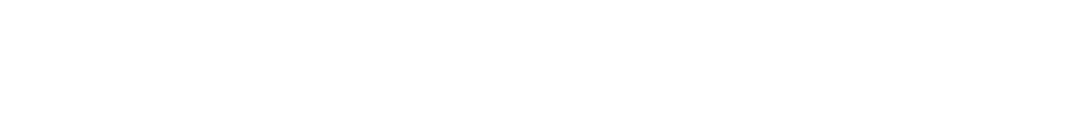 DataSnipper